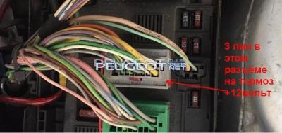 [Peugeot-Club.net] - 3 пин +12v.JPG