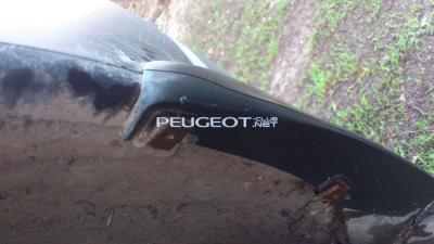 [Peugeot-Club.net] - DSC_0046.jpg