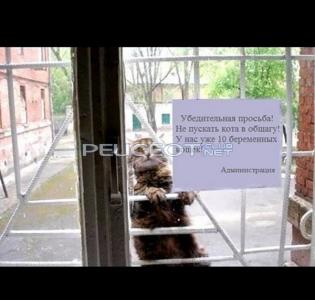 Сохраненное изображение 2016-5-4_21-58-15.644.jpg