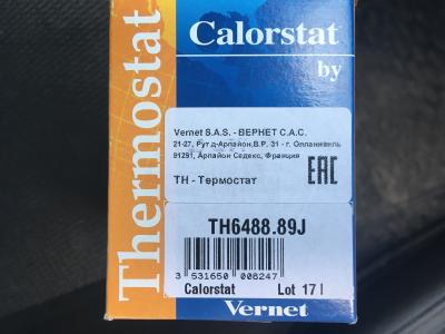 Термостат.JPG