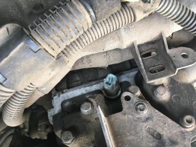 2018-05-01 13.02.55.JPG