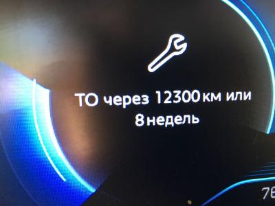 8 1:2 недель.jpeg