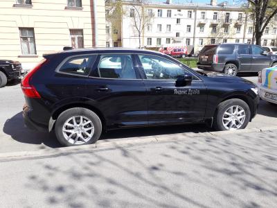 Правый бок.jpg