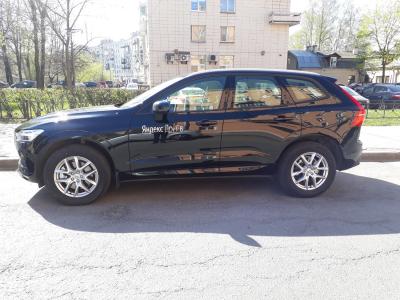 Левый бок.jpg