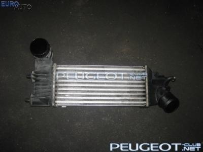 загруженное (1).jpg