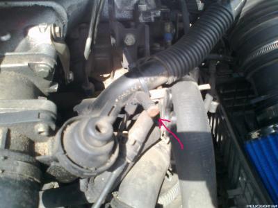 peugeot-lab.net - Фото0078.jpg