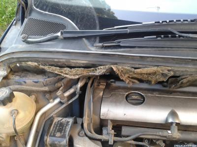 peugeot-lab.net - 2012-06-22 18.48.47.jpg