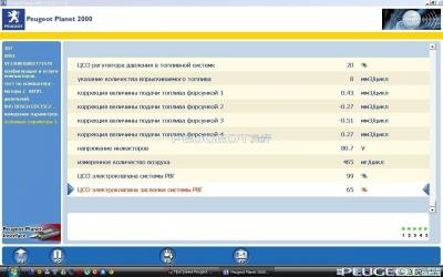 peugeot-lab.net - 307.jpg