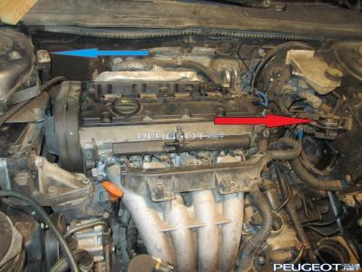 [Peugeot-Club.net] - 1.JPG