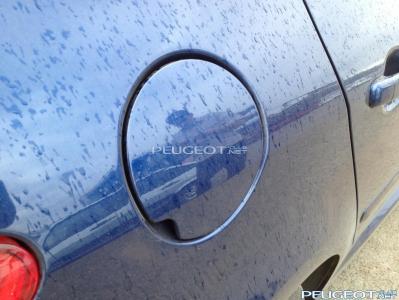 [Peugeot-Club.net] - фотография 1.JPG