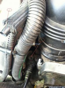 [Peugeot-Club.net] - IMG_1602.jpg