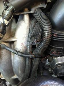 [Peugeot-Club.net] - IMG_1601.jpg