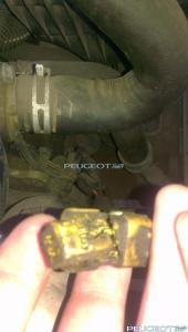 [Peugeot-Club.net] - IMAG0151.jpg