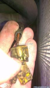 [Peugeot-Club.net] - IMAG0153.jpg