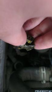 [Peugeot-Club.net] - IMAG0145.jpg