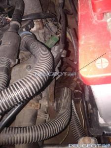 [Peugeot-Club.net] - Фото-0371.1.JPG