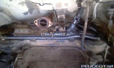 [Peugeot-Club.net] - IMAG0280.jpg