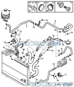 [Peugeot-Club.net] - 6.jpg