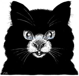 [Peugeot-Club.net] - f59f2a23af82911aa7c7169185d79986.jpg