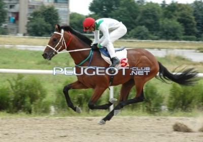 [Peugeot-Club.net] - normal_42_d5578454_6d1c_3f70.jpg