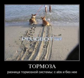 [Peugeot-Club.net] - lnpdJX4LItI.jpg