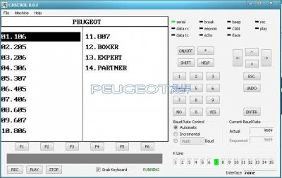 [Peugeot-Club.net] - каскад.JPG