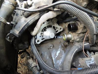 [Peugeot-Club.net] - DSCN3624.JPG