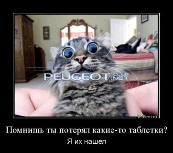 [Peugeot-Club.net] - hotdem_ru_474770613571566579143.jpg