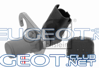 peugeot-lab.net - датчик_кв_2.png