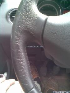 peugeot-lab.net - Фото009.jpg