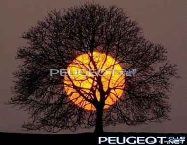 [Peugeot-Club.net] - getImage (4).jpg