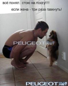 [Peugeot-Club.net] - 7c2f0b815ee1.jpg