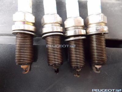 [Peugeot-Club.net] - DSCN1961.JPG