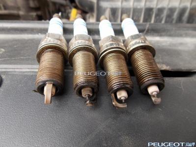 [Peugeot-Club.net] - DSCN1960.JPG