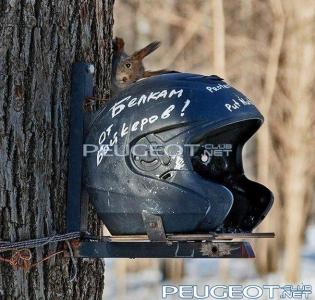 [Peugeot-Club.net] - 994496_539357299454048_1345556628_n.jpg