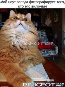 [Peugeot-Club.net] - 947197_535524049840326_1883400309_n.jpg