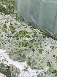 [Peugeot-Club.net] - image (3).jpg