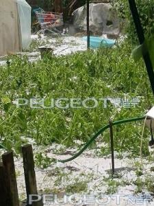 [Peugeot-Club.net] - image (5).jpg