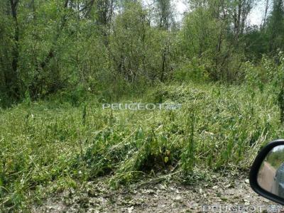 [Peugeot-Club.net] - P1040765.JPG