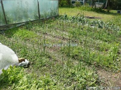 [Peugeot-Club.net] - P1040751.JPG