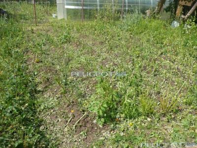 [Peugeot-Club.net] - P1040756.JPG