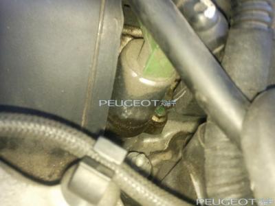 [Peugeot-Club.net] - Фото0913.jpg