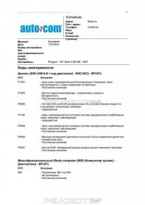 307 sw testjpg_Page1.jpg