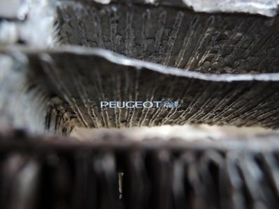 [Peugeot-Club.net] - DSCN3574.JPG