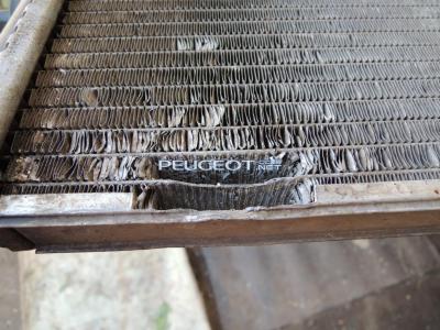 [Peugeot-Club.net] - DSCN3568.JPG