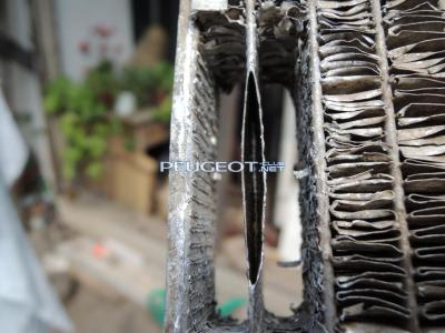 [Peugeot-Club.net] - DSCN3575.JPG