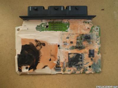 peugeot-lab.net - P8050052.jpg