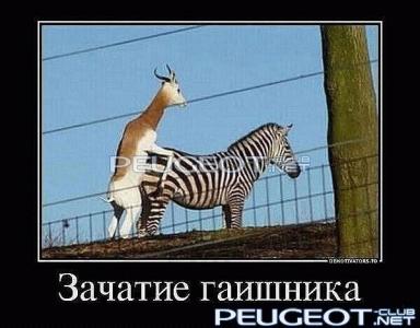 [Peugeot-Club.net] - 4xEsRYz2F80.jpg