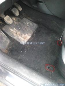 [Peugeot-Club.net] - DSC_0142.jpg