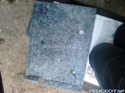 [Peugeot-Club.net] - DSC_0152.jpg